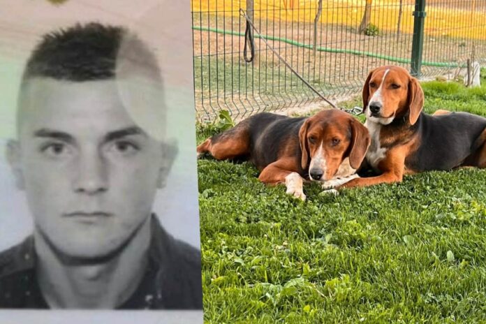 /video/-upali-u-dvoriste-i-ukrali-lovacke-pse-–-objavljen-snimak-kradje-u-selu /video/-upali-u-dvoriste-i-ukrali-lovacke-pse-–-objavljen-snimak-kradje-u-selu