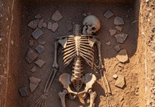 Na Zlatiboru pronađeni skeleti mladića sa vezanim rukama, speleolozi otkrili decenijama skrivano stratište na-zlatiboru-pronadjeni-skeleti-mladica-sa-vezanim-rukama,-speleolozi-otkrili-decenijama-skrivano-stratiste