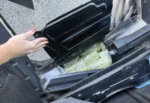 (VIDEO) Zaplenjeno pet tona marihuane kod Kruševca (video)-zaplenjeno-pet-tona-marihuane-kod-krusevca