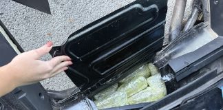 (VIDEO) Zaplenjeno pet tona marihuane kod Kruševca (video)-zaplenjeno-pet-tona-marihuane-kod-krusevca