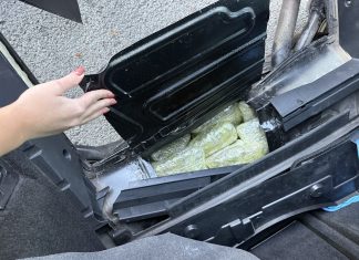 (VIDEO) Zaplenjeno pet tona marihuane kod Kruševca (video)-zaplenjeno-pet-tona-marihuane-kod-krusevca