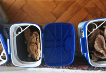 (FOTO) Zaplena narkotika u Novom Pazaru: Uhapšen mladić, droga skrivena u plafonu (foto)-zaplena-narkotika-u-novom-pazaru:-uhapsen-mladic,-droga-skrivena-u-plafonu