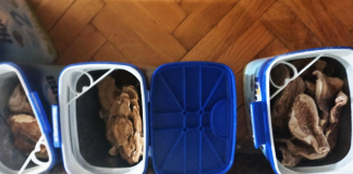 (FOTO) Zaplena narkotika u Novom Pazaru: Uhapšen mladić, droga skrivena u plafonu (foto)-zaplena-narkotika-u-novom-pazaru:-uhapsen-mladic,-droga-skrivena-u-plafonu