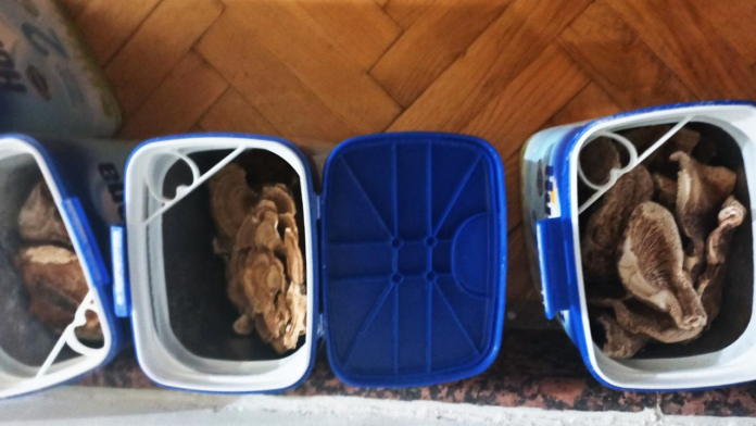 (foto)-zaplena-narkotika-u-novom-pazaru:-uhapsen-mladic,-droga-skrivena-u-plafonu