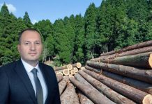 Alen Kalač odbacio optužbe o “šumskoj mafiji”: Ko stoji iza napada namene? /VIDEO/ alen-kalac-odbacio-optuzbe-o-“sumskoj-mafiji”:-ko-stoji-iza-napada-namene?-/video/