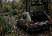 Muškarac oteo svoju ženu, ugurao je u gepek i pretukao u šumi muskarac-oteo-svoju-zenu,-ugurao-je-u-gepek-i-pretukao-u-sumi