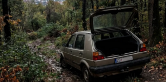 Muškarac oteo svoju ženu, ugurao je u gepek i pretukao u šumi muskarac-oteo-svoju-zenu,-ugurao-je-u-gepek-i-pretukao-u-sumi