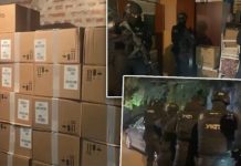 Pola miliona tableta skrivali u garaži: Veliki udar policije na narkomrežu /VIDEO/ pola-miliona-tableta-skrivali-u-garazi:-veliki-udar-policije-na-narkomrezu-/video/