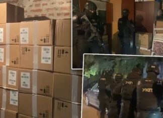 Pola miliona tableta skrivali u garaži: Veliki udar policije na narkomrežu /VIDEO/ pola-miliona-tableta-skrivali-u-garazi:-veliki-udar-policije-na-narkomrezu-/video/