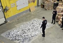 Šokantna zapljena: Više od milion psihoaktivnih tableta skriveno u kurirskim pošiljkama sokantna-zapljena:-vise-od-milion-psihoaktivnih-tableta-skriveno-u-kurirskim-posiljkama