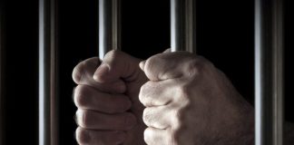 Nedozvoljeno oružje u Sandžaku: Puške, pištolj i eksploziv otkriveni tokom pretresa nedozvoljeno-oruzje-u-sandzaku:-puske,-pistolj-i-eksploziv-otkriveni-tokom-pretresa