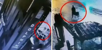 Viljuškarom razbio zlataru, pa pobjegao! VIDEO filmske pljačke viljuskarom-razbio-zlataru,-pa-pobjegao!-video-filmske-pljacke