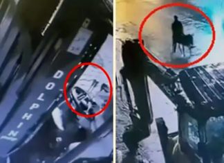 Viljuškarom razbio zlataru, pa pobjegao! VIDEO filmske pljačke viljuskarom-razbio-zlataru,-pa-pobjegao!-video-filmske-pljacke