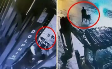 Viljuškarom razbio zlataru, pa pobjegao! VIDEO filmske pljačke viljuskarom-razbio-zlataru,-pa-pobjegao!-video-filmske-pljacke