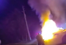 Heroji u Americi: Braća Adnan i Almin Rešidović spasila ženu iz plamena i bebu iz otetog vozila /VIDEO/ heroji-u-americi:-braca-adnan-i-almin-residovic-spasila-zenu-iz-plamena-i-bebu-iz-otetog-vozila-/video/