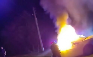 Heroji u Americi: Braća Adnan i Almin Rešidović spasila ženu iz plamena i bebu iz otetog vozila /VIDEO/ heroji-u-americi:-braca-adnan-i-almin-residovic-spasila-zenu-iz-plamena-i-bebu-iz-otetog-vozila-/video/