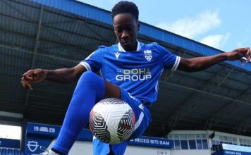 Sadi u Pazaru do leta 2028. godine sadi-u-pazaru-do-leta-2028.-godine