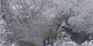 DRAMA u Sandžaku: Automobil sa četiri žene sletio u rijeku, mještani i vatrogasci spriječili tragediju drama-u-sandzaku:-automobil-sa-cetiri-zene-sletio-u-rijeku,-mjestani-i-vatrogasci-sprijecili-tragediju