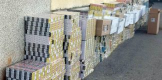 (FOTO) Zaplena cigareta u Sjenici: U skrivenom bunkeru kamiona pronađena roba vredna 3,5 miliona dinara (foto)-zaplena-cigareta-u-sjenici:-u-skrivenom-bunkeru-kamiona-pronadjena-roba-vredna-3,5-miliona-dinara