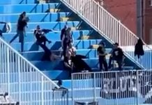 Viralni snimak iz Novog Pazara: Navijač TSC-a pao niz tribinu na poluvremenu viralni-snimak-iz-novog-pazara:-navijac-tsc-a-pao-niz-tribinu-na-poluvremenu