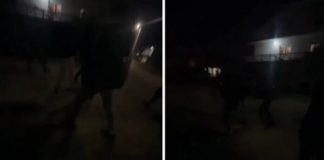 Maloljetnici brutalno pretukli dječaka (14) na putu prema džamiji, napad snimala djevojčica maloljetnici-brutalno-pretukli-djecaka-(14)-na-putu-prema-dzamiji,-napad-snimala-djevojcica