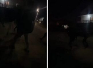 Maloljetnici brutalno pretukli dječaka (14) na putu prema džamiji, napad snimala djevojčica maloljetnici-brutalno-pretukli-djecaka-(14)-na-putu-prema-dzamiji,-napad-snimala-djevojcica