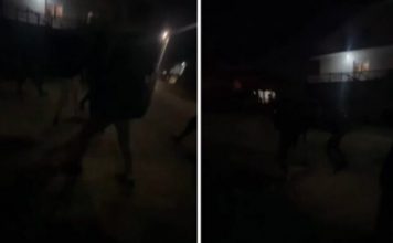 Maloljetnici brutalno pretukli dječaka (14) na putu prema džamiji, napad snimala djevojčica maloljetnici-brutalno-pretukli-djecaka-(14)-na-putu-prema-dzamiji,-napad-snimala-djevojcica