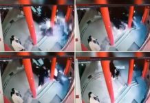 Šokantne scene! Automobil udario ženu i dijete, snimak nadzorne kamere ledi krv u žilama (VIDEO) sokantne-scene!-automobil-udario-zenu-i-dijete,-snimak-nadzorne-kamere-ledi-krv-u-zilama-(video)