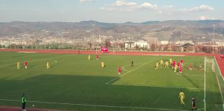 Jošanica pobegla sa začelja josanica-pobegla-sa-zacelja