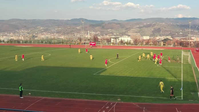 josanica-pobegla-sa-zacelja josanica-pobegla-sa-zacelja