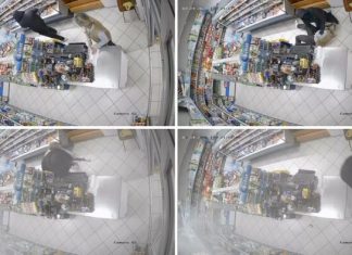 HRABRA Bošnjakinja ZAUSTAVILA PLJAČKAŠA: Radnica goloruka krenula na naoružanog razbojnika /VIDEO/ hrabra-bosnjakinja-zaustavila-pljackasa:-radnica-goloruka-krenula-na-naoruzanog-razbojnika-/video/