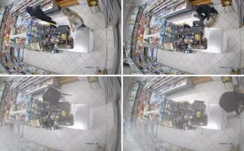 HRABRA Bošnjakinja ZAUSTAVILA PLJAČKAŠA: Radnica goloruka krenula na naoružanog razbojnika /VIDEO/ hrabra-bosnjakinja-zaustavila-pljackasa:-radnica-goloruka-krenula-na-naoruzanog-razbojnika-/video/