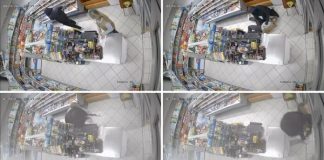 “NISAM SMJELA PUSTITI PUŠKU”: Fikreta Fajić goloruka krenula na pljačkaša s puškom /VIDEO/ “nisam-smjela-pustiti-pusku”:-fikreta-fajic-goloruka-krenula-na-pljackasa-s-puskom-/video/