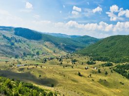 Volonteri tokom ekološke akcije čišćenja na Pešterskoj visoravni