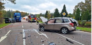 Haos u Nemačkoj: Mravi poremetili semafor i izazvali sudare u Karlsruheu Ilustracija semafora u gradu nakon incidenta u Karlsruheu