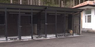 Novi Pazar otvorio gradsko prihvatilište za pse i mačke Gradsko prihvatilište za pse i mačke u Novom Pazaru