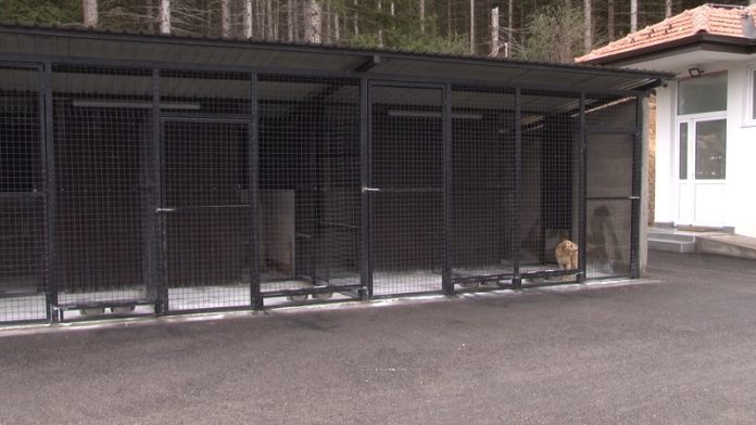 Gradsko prihvatilište za pse i mačke u Novom Pazaru