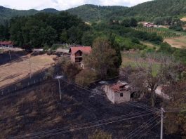 Vatrogasci gase požar u selu Soveja u rumunskom okrugu Vranca