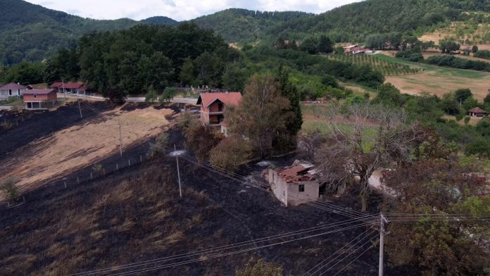 Vatrogasci gase požar u selu Soveja u rumunskom okrugu Vranca