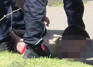 Stravična tragedija u Obrenovcu: napad pa povratak da se delo dovrši Policijska traka i uviđaj nakon napada u centru Obrenovca