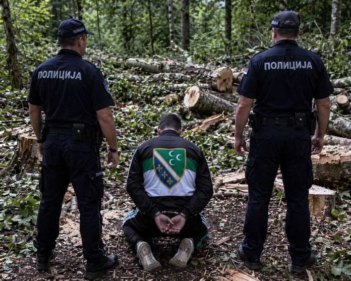 Policija istražuje slučaj bespravne seče šume u Sandžaku