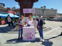 Aktivisti dele flajere i paketiće pomoći napuštenim životinjama na šetalištu kod Sebilja