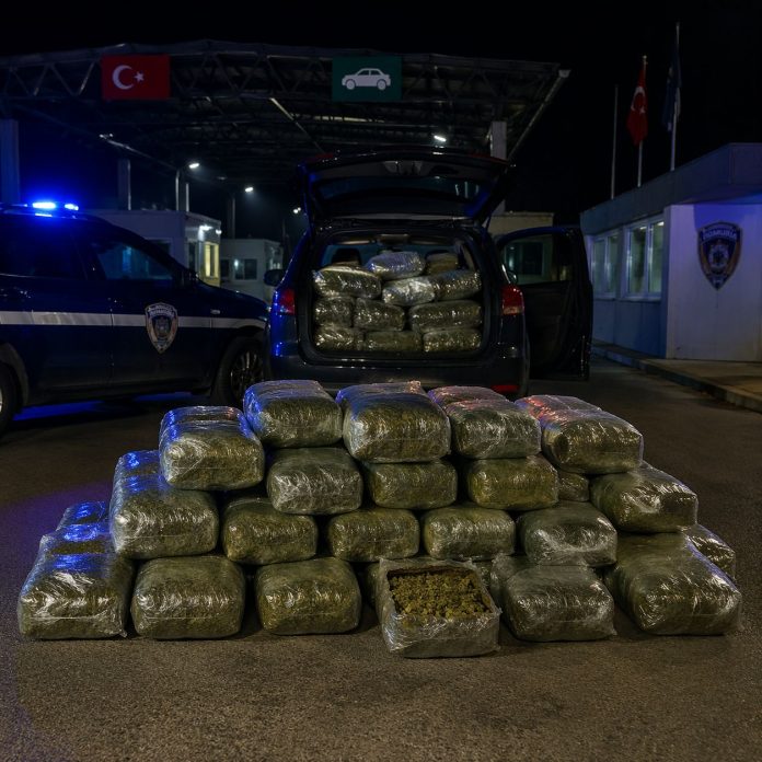 Ilustracija graničnog prelaza tokom kontrole tereta