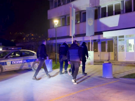Ilustracija hapšenja i međunarodne policijske saradnje