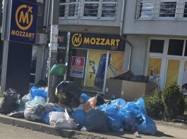 Smeće pored kontejnera u ulicama Sjenice i iscepane zastave ispred zgrade opštine
