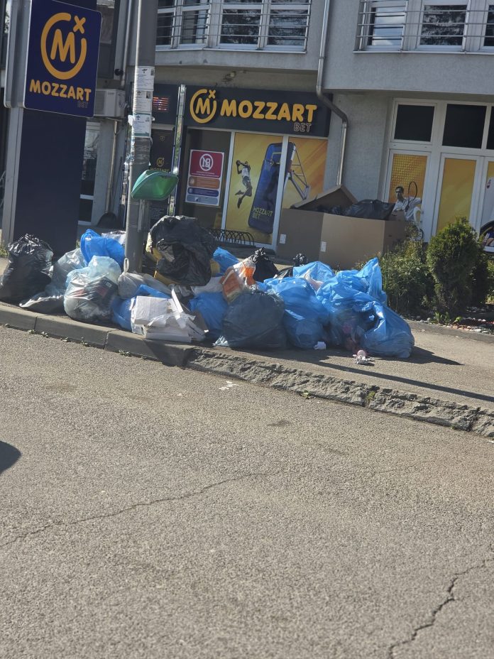 Smeće pored kontejnera u ulicama Sjenice i iscepane zastave ispred zgrade opštine