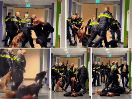Policijska intervencija u Holandiji na snimku koji je izazvao osude