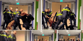 Holandija: Trudna Palestinka oborena na pod tokom policijske intervencije Policijska intervencija u Holandiji na snimku koji je izazvao osude