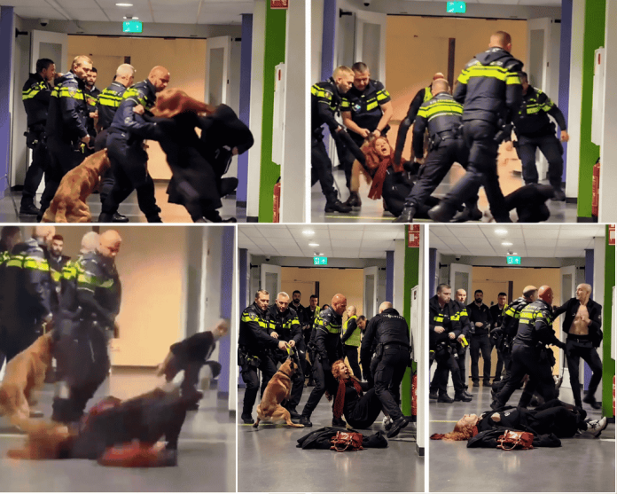 Policijska intervencija u Holandiji na snimku koji je izazvao osude