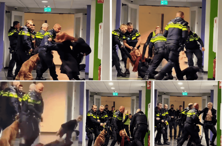 Policijska intervencija u Holandiji na snimku koji je izazvao osude